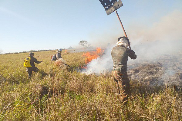 Forças Armadas atuam em combate a incêndios no Mato Grosso e no Pará