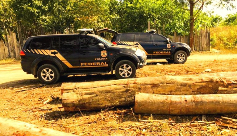 Polícia Federal faz apreensão histórica de madeira