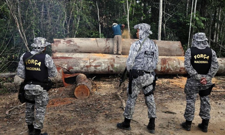 Força Nacional de Segurança Pública reforça combate a crimes ambientais na Amazônia Legal