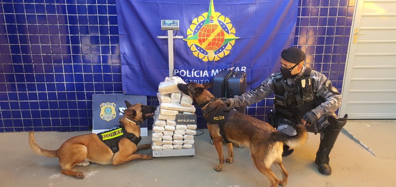 Cresce o número de apreensões de drogas em um ano