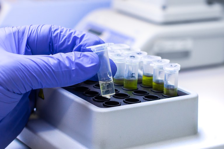 Banco de perfis genéticos de condenados chega à marca de 100 mil registros