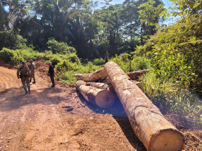 Polícia Federal deflagra operação contra desmatamento e garimpo ilegal em terras indígenas no estado de Rondônia