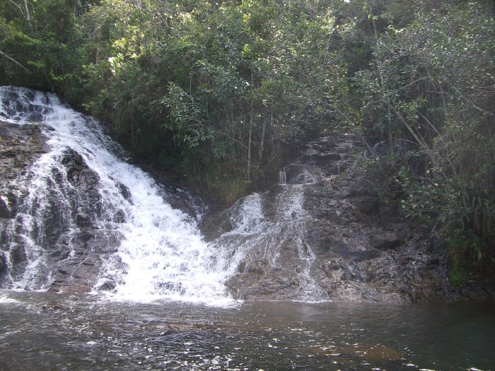 Brasil possui 1.567 Reservas Particulares do Patrimônio Natural