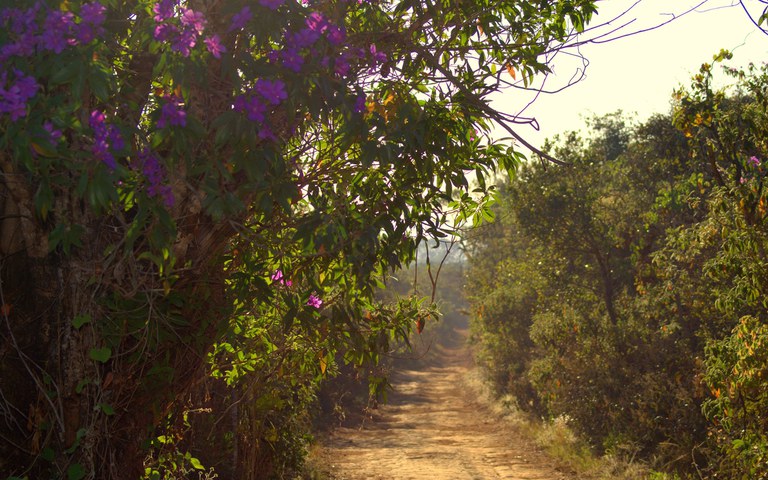 ICMBio autoriza retorno de visitação no Parque Nacional de Brasília