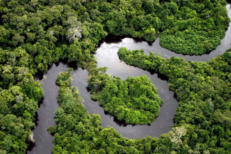 Ministério do Meio Ambiente instituiu o Programa Floresta