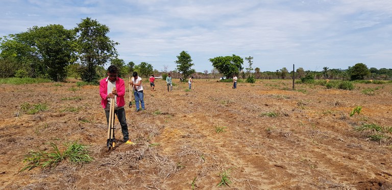 Governo Federal investiu quase R$ 1 milhão na recuperção de vegetação nativa em Terras Indígenas