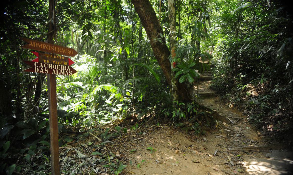Cadastro Ambiental Urbano: aplicativo é lançado com informações de áreas verdes cadastradas nas cidades