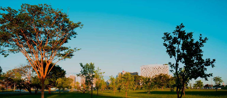 Cadastro Ambiental Urbano já registra mais de 3.700 áreas verdes