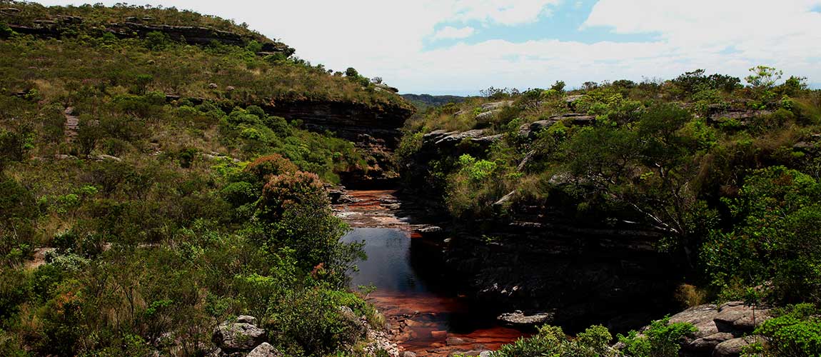 Floresta+ recupera mata nativa em bacia hidrográfica na Bahia