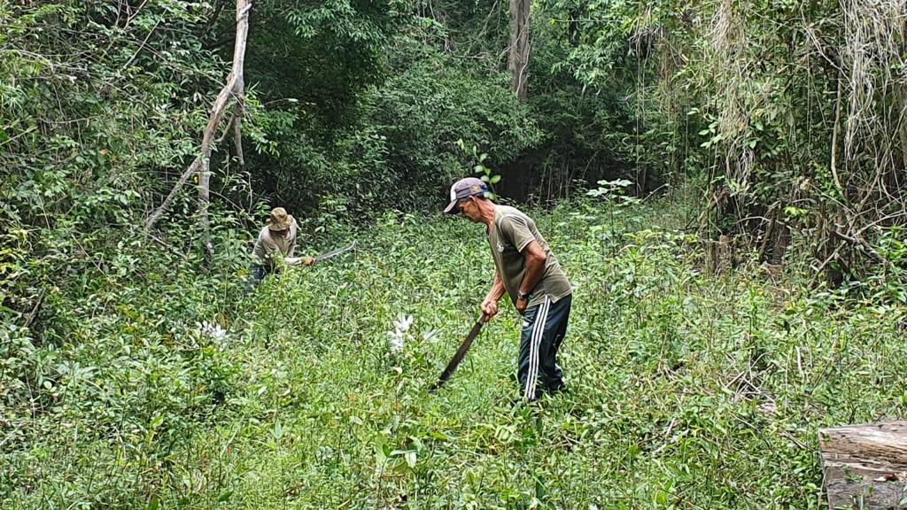 Pagamento por serviços ambientais para ajudar na conservação