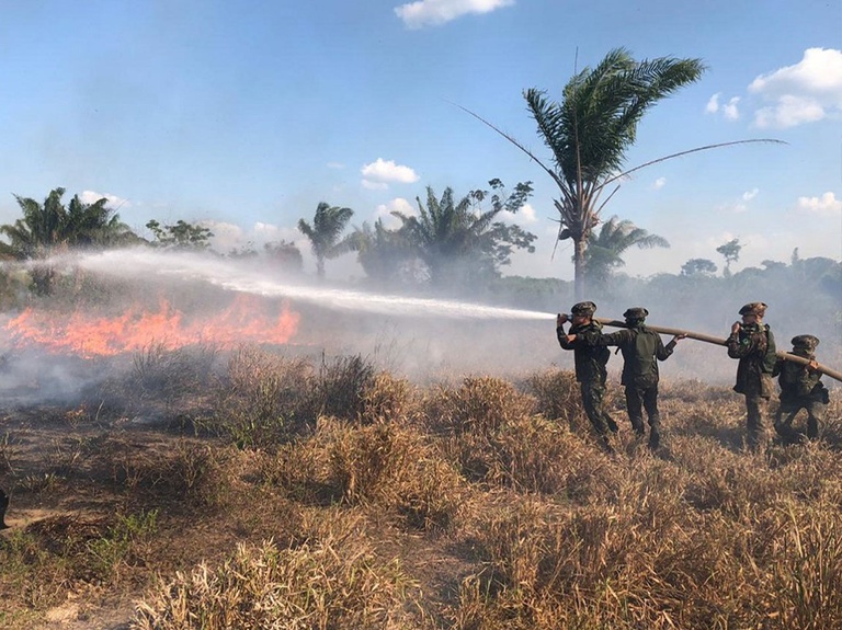 Nove meses da Operação Verde Brasil 2