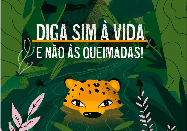 Cartilha educativa orienta população contra queimadas