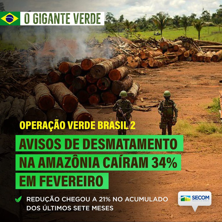 Desmatamento na Amazônia cai 34% em fevereiro