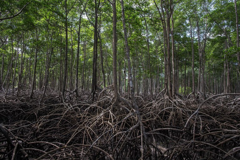 Mais uma empresa adere ao programa