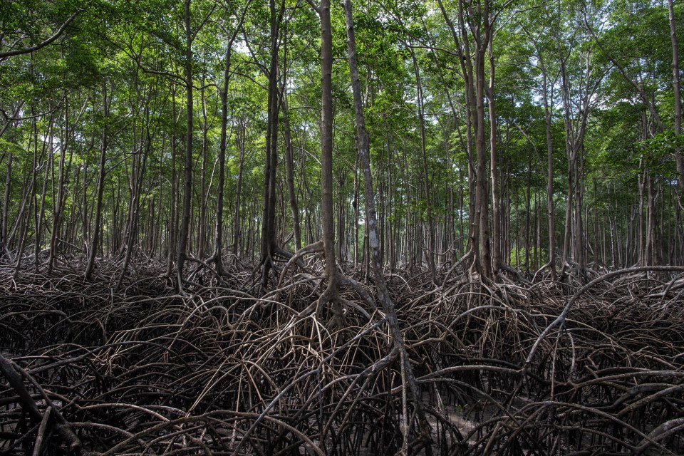 Mais uma empresa adere ao programa
