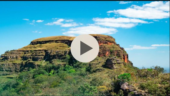 Infográfico animado