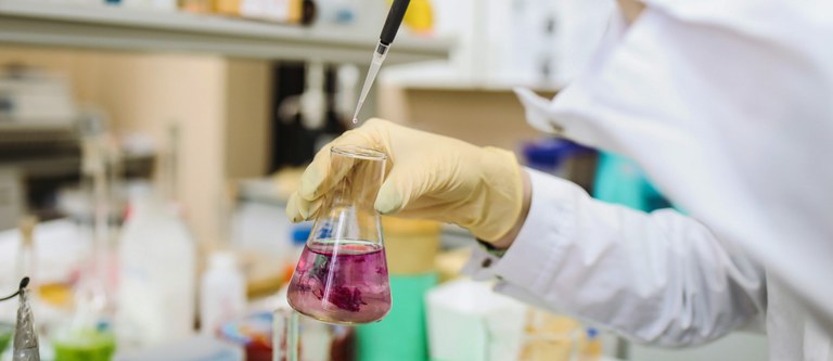 Novas regras para investimento direto