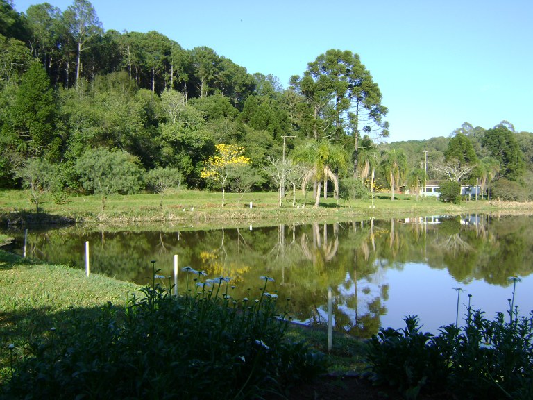 Florestas Nacionais qualificadas para concessão seguirão modelo de manejo sustentável
