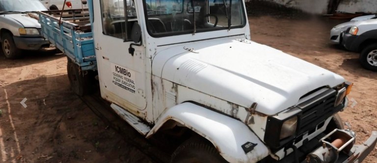 ICMBio arrecada mais de R$ 1 milhão em leilão de frota inoperante