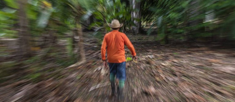 Aberto edital para contratar instituição financeira que atuará no Floresta+ Amazônia