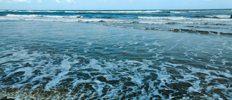 Ministério do Meio Ambiente promove curso gratuito sobre boas práticas para preservação da zona costeira e marinha