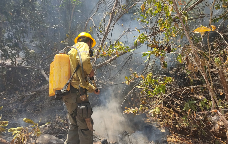 ICMBio reforça o combate aos incêndios na Chapada dos Veadeiros