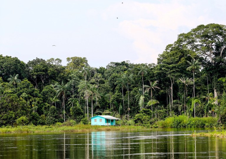 Governo Federal divulga resultado das operações de combate a crimes ambientais na Amazônia