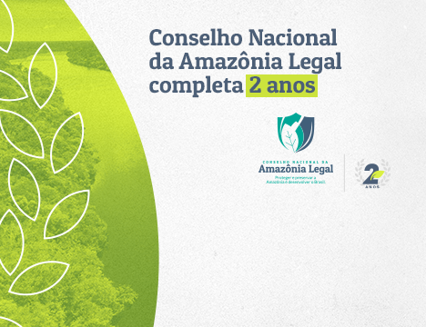 Conselho Nacional da Amazônia Legal celebra 2 anos de atividades após recriação