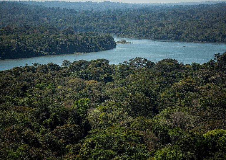 Floresta+ Amazônia seleciona projetos de proteção e recuperação de vegetação nativa