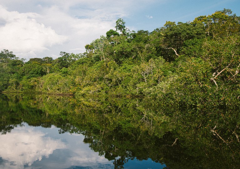 Bancos públicos dispõem de R$ 411 bilhões para financiamentos de projetos verdes