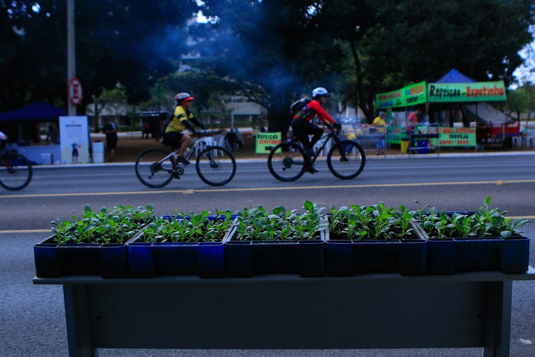 Dia Nacional do Meio Ambiente: O Brasil e os avanços de um país cada vez mais verde