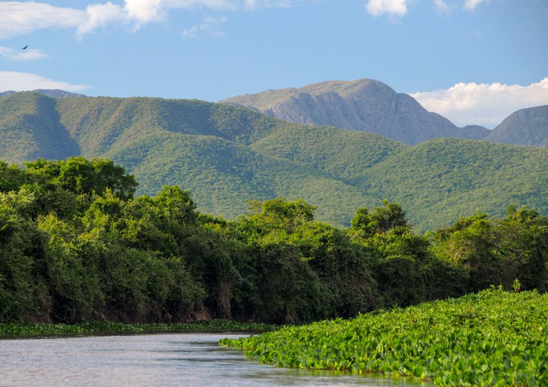 Brasil registra queda nos focos de queimadas no primeiro semestre