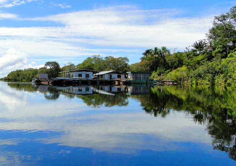 Projeto Floresta+ Amazônia recebe inscrições na modalidade Conservação e tem chamada aberta para a modalidade Recuperação