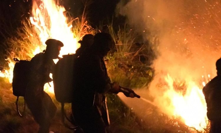 Focos de fogo em Nova Progresso são debelados