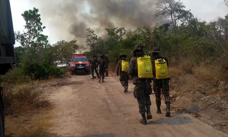 Ministério faz balanço da Operação Verde Brasil