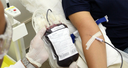 Doação de sangue deve continuar mesmo durante a pandemia