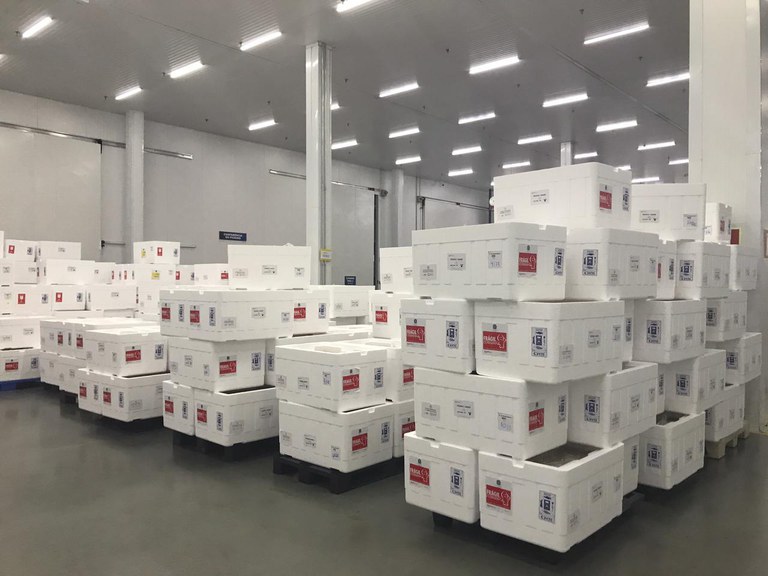 Governo distribui mais 2,6 milhões de doses de vacina contra a Covid-19