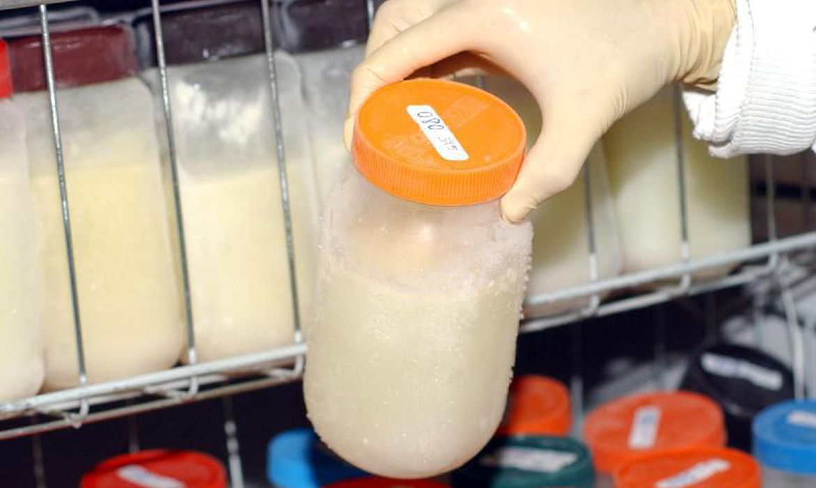 Fiocruz será colaboradora da OMS no fortalecimento dos bancos de leite humano