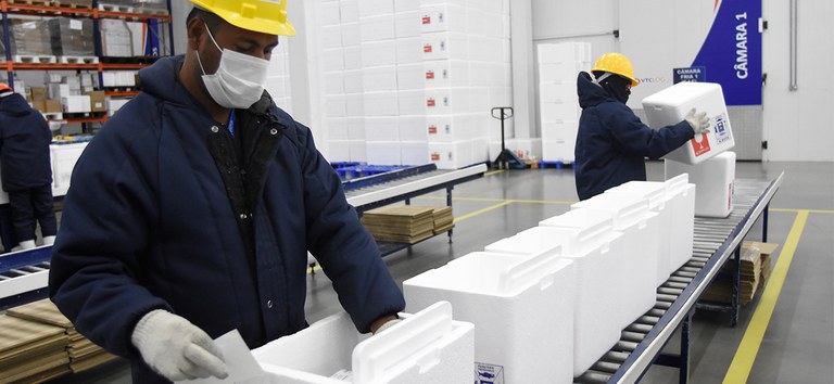 Mais 4 milhões de doses da vacina covid-19 são enviadas para todo o Brasil