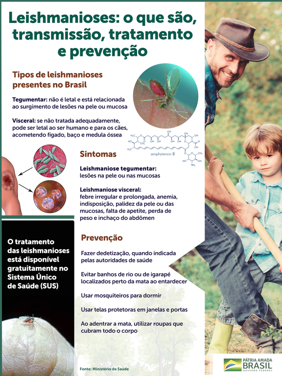 Saiba quais são os tipos, os sintomas e a transmissão das leishmanioses em humanos