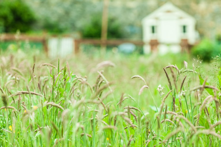 Contribuintes já podem enviar declaração de Imposto Territorial Rural 2020