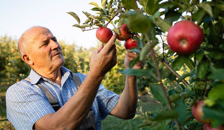 Programa apoiará 40 empreendimentos rurais no semiárido