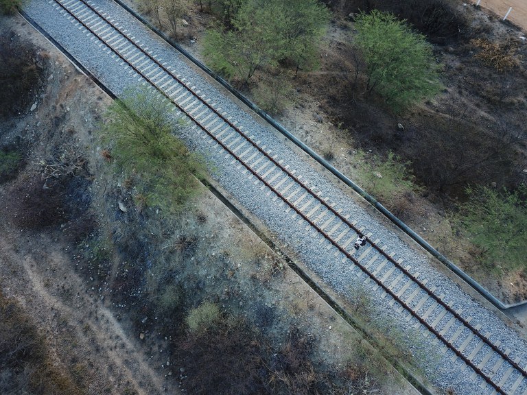 Pro Trilhos chega a 21 contratos assinados para criação de novas ferrovias no país