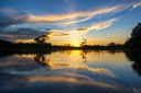 Site oferece visita virtual à Amazônia