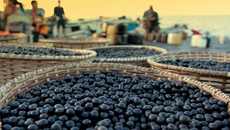 Parceria incentivará o turismo gastronômico no país