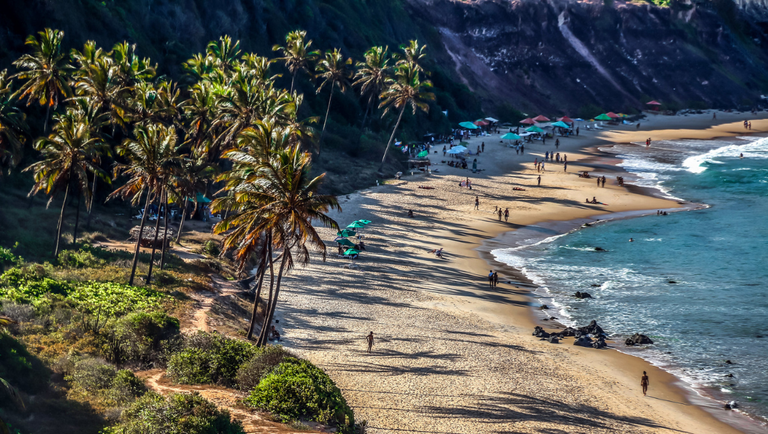 Guias de turismo do Nordeste podem se inscrever em curso gratuito sobre atrativos naturais