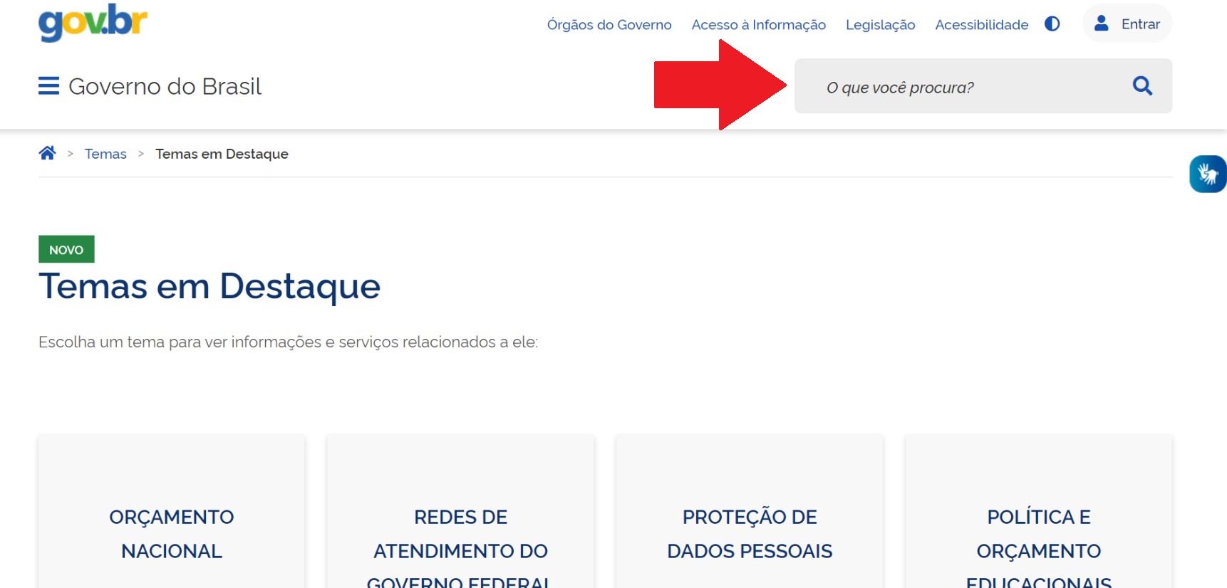 Busca 10 - Campo busca páginas.jpeg