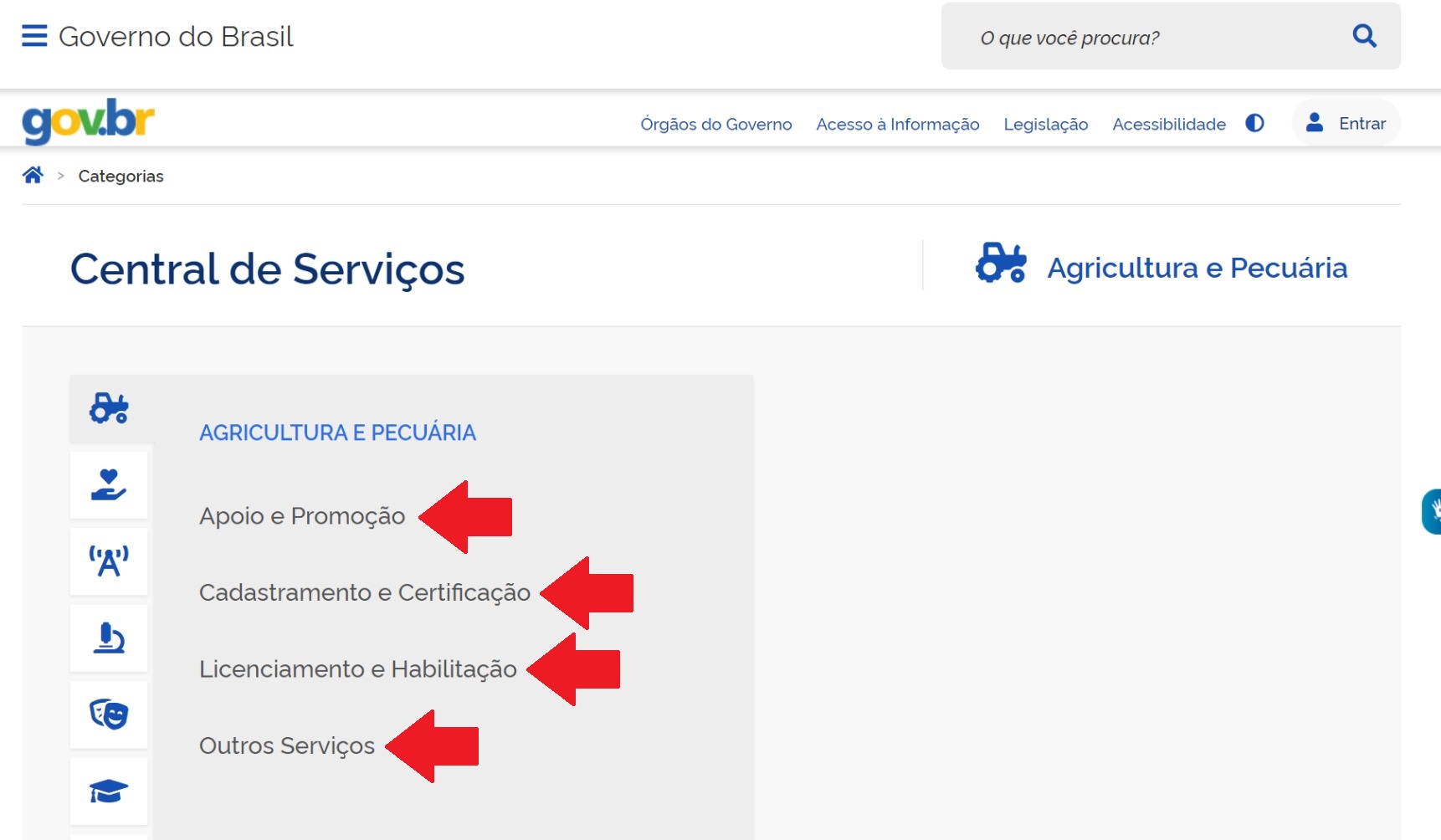 Categorias 4 - 2 nivel.jpeg