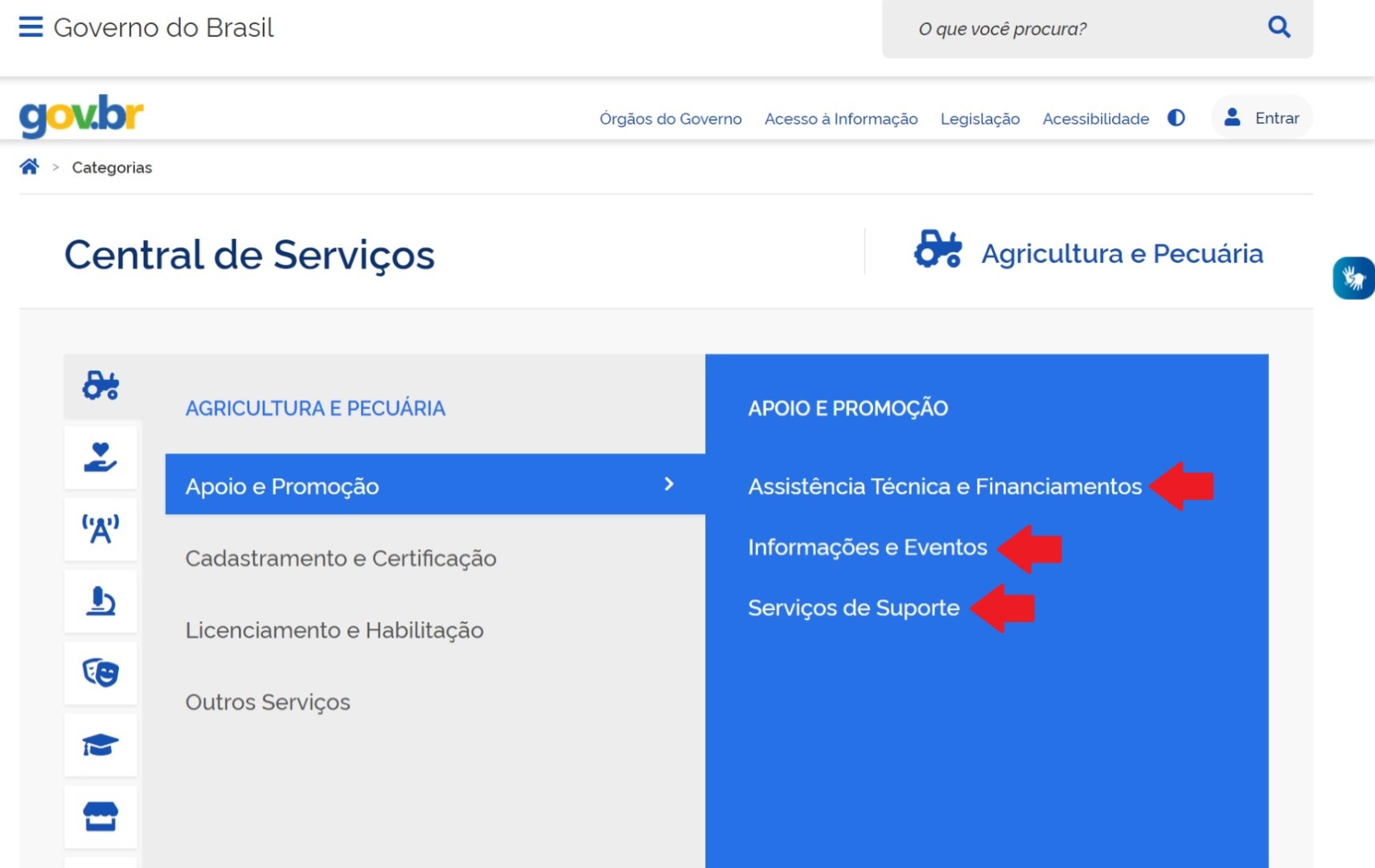 Categorias 5 - 3 nivel.jpeg