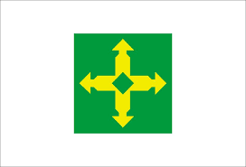 Bandeira do Distrito Federal